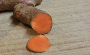 A root of Turmeric used in alternative medicine